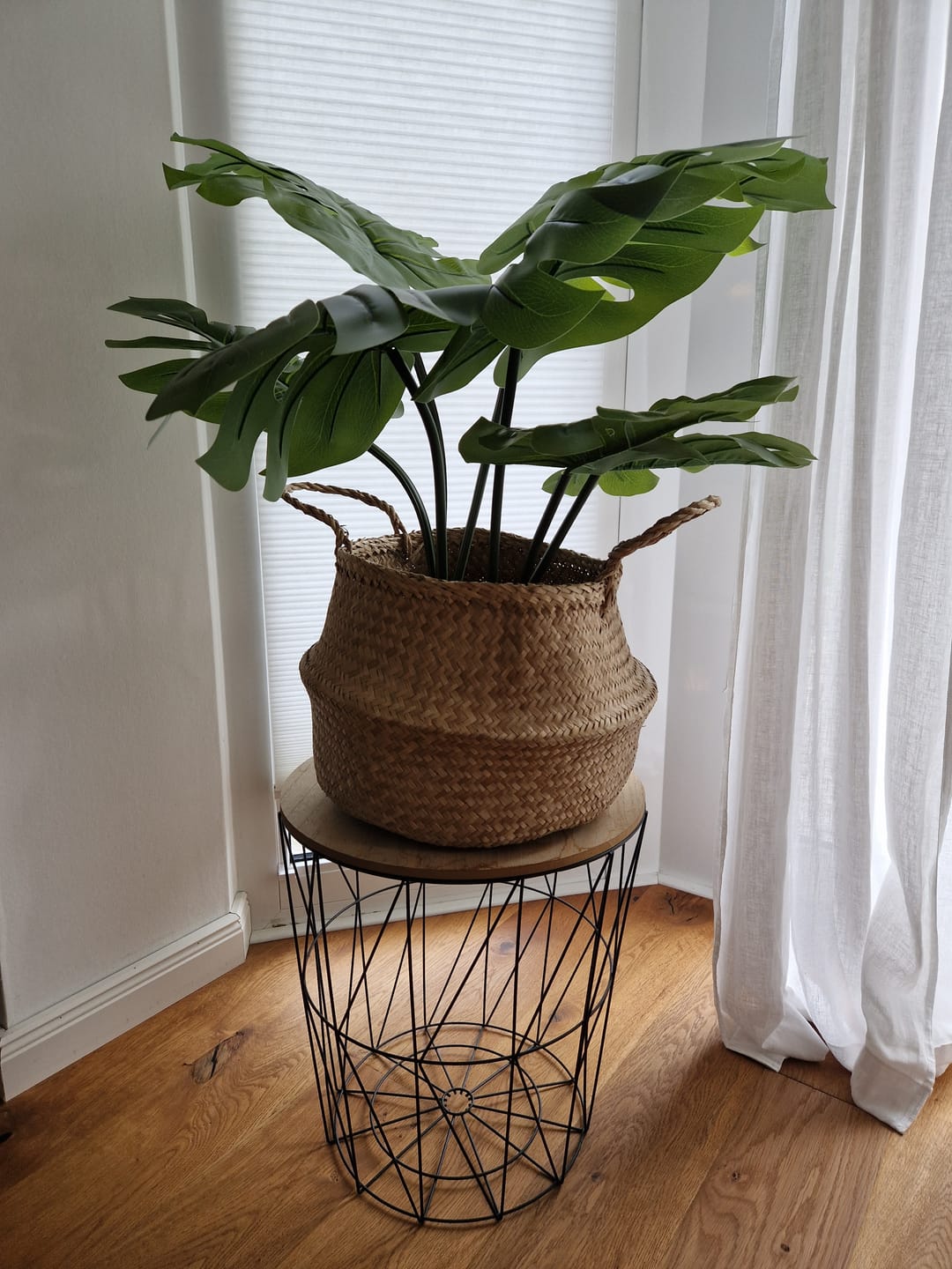 Customer photo review of Monstera Kunstpflanze A 80cm