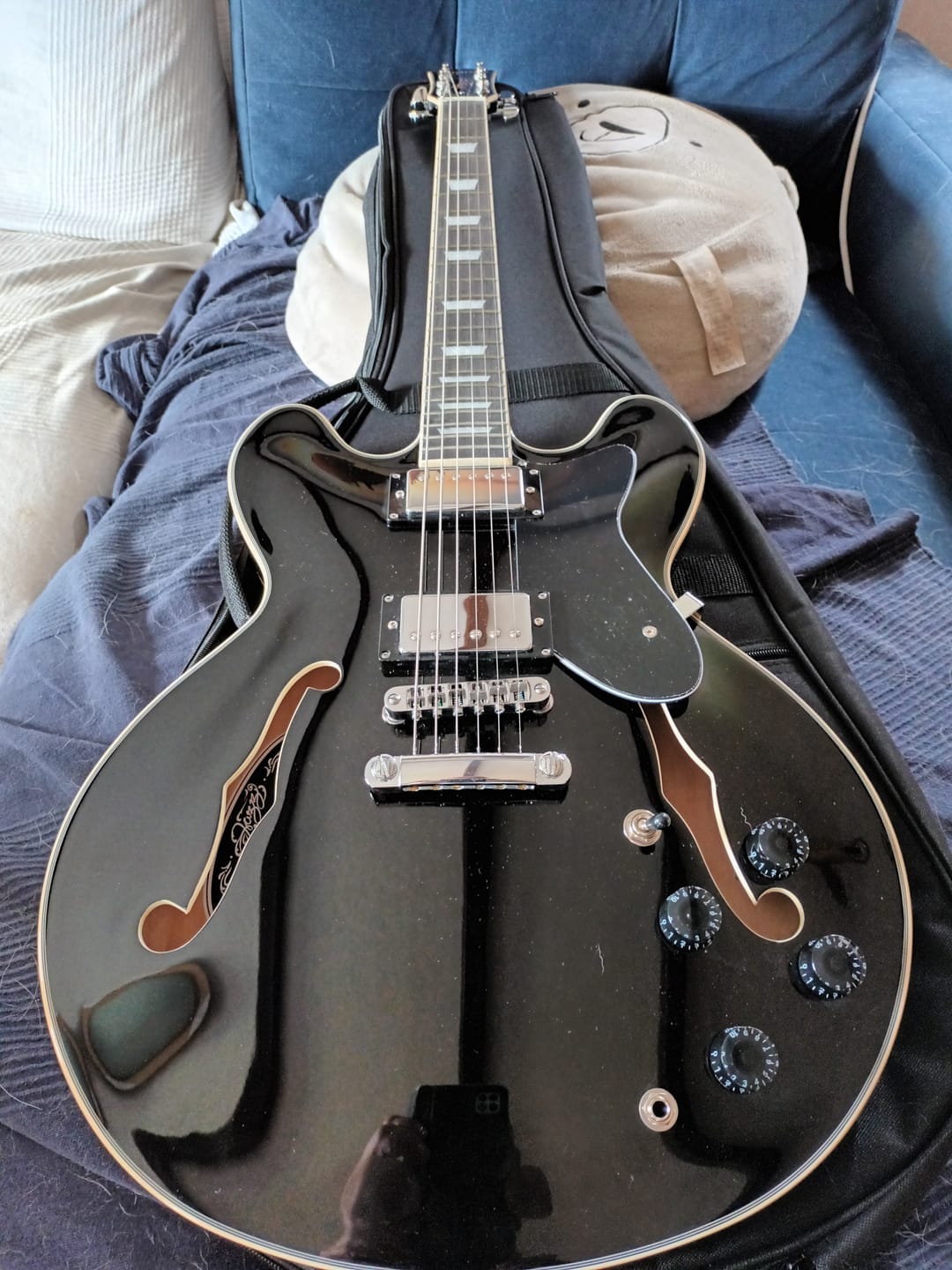 Customer photo review of Donner DJP-1000 Guitare Jazz Électrique