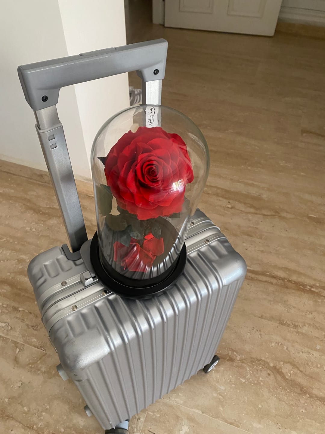 Customer photo review of Roses Éternelle Rouge sous Cloche