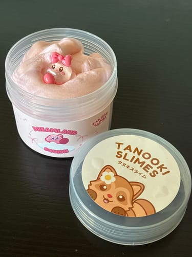 Customer photo review of Kirby's Dreamland Squish