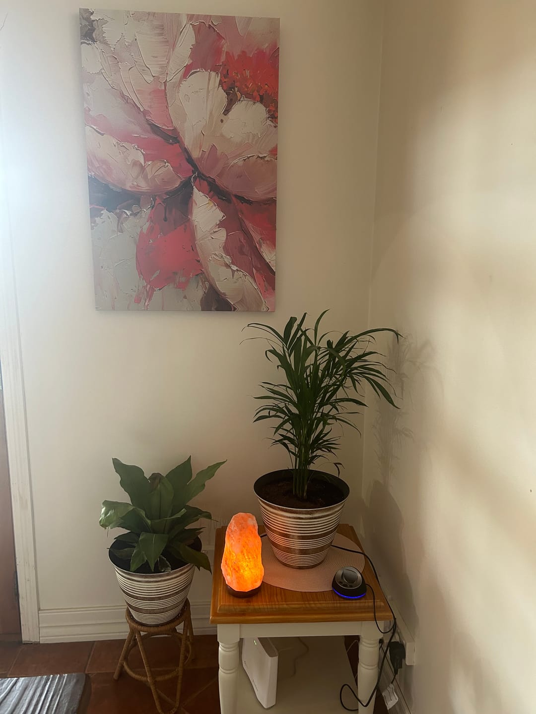 Customer photo review of PINK PEONY I CANVAS