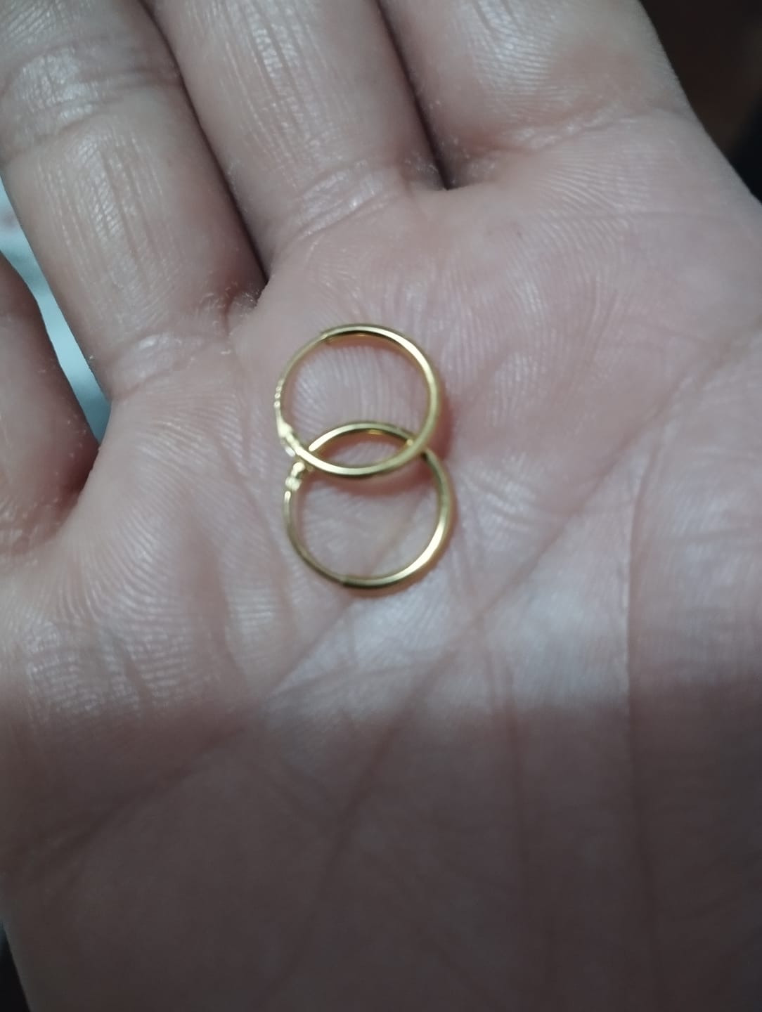 Customer photo review of Pendientes Aretes