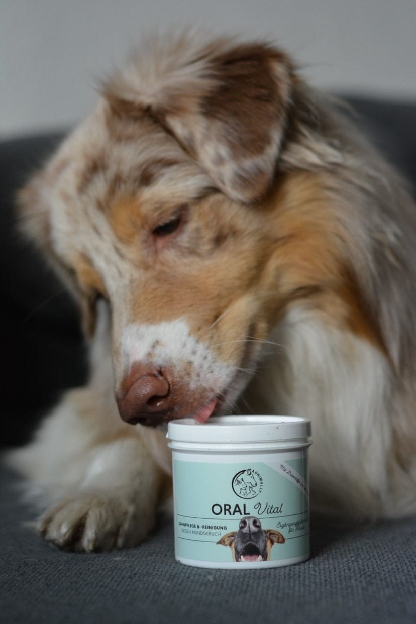 Customer photo review of Oral Vital