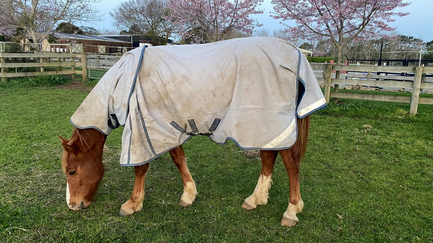 Customer photo review of LE Boxter Turnout Ripstop 50g