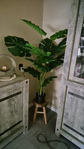 Customer photo review of Monstera Kunstplant 145cm