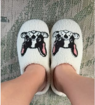 Customer photo review of Boston Terrier Slippers
