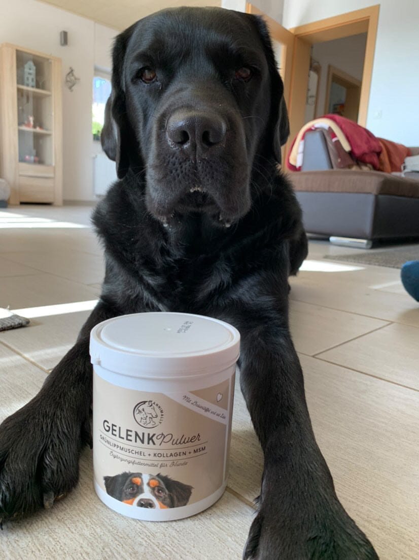 Customer photo review of Gelenkpulver