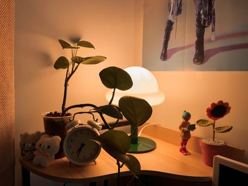 Customer photo review of Bubblegum Lamp - Mint