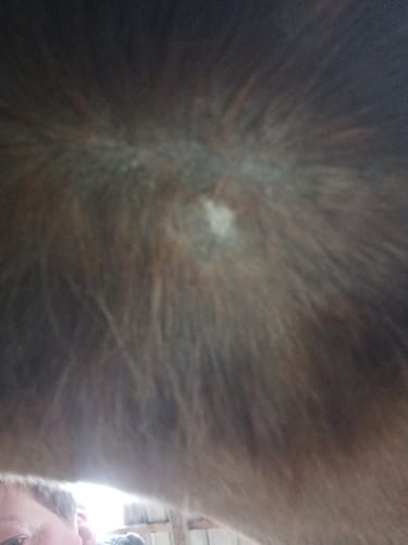 Customer photo review of Kristallkraft TheMineral