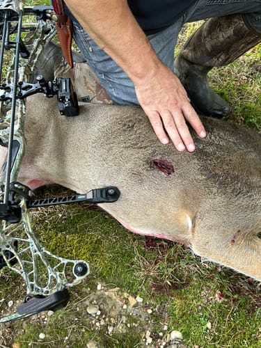 Customer photo review of Beast Broadheads (2-Pack + Practice Tip)