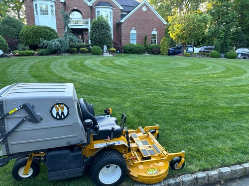 Customer photo review of GCI Turf Cool Blue Grass Seed