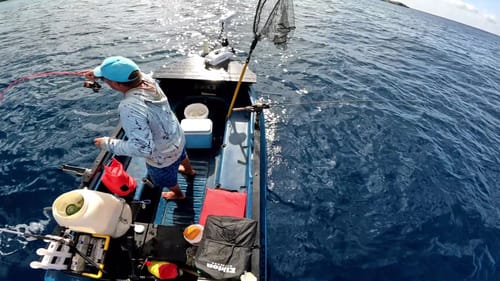 Customer photo review of GOOFISH® 6'6"(195cm) Orange Micro Offshore Slow Pitch Jigging Rod 20-100g Jig with Solid Nano Blank