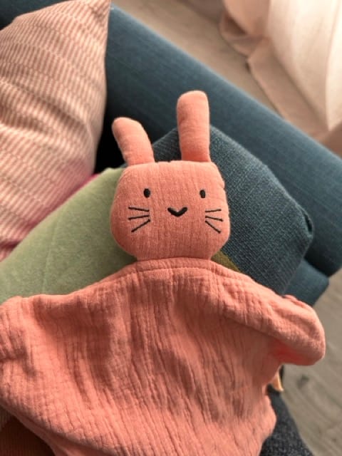 Customer photo review of Doudou Lapin Plat : Douceur et Réconfort pour Bébé