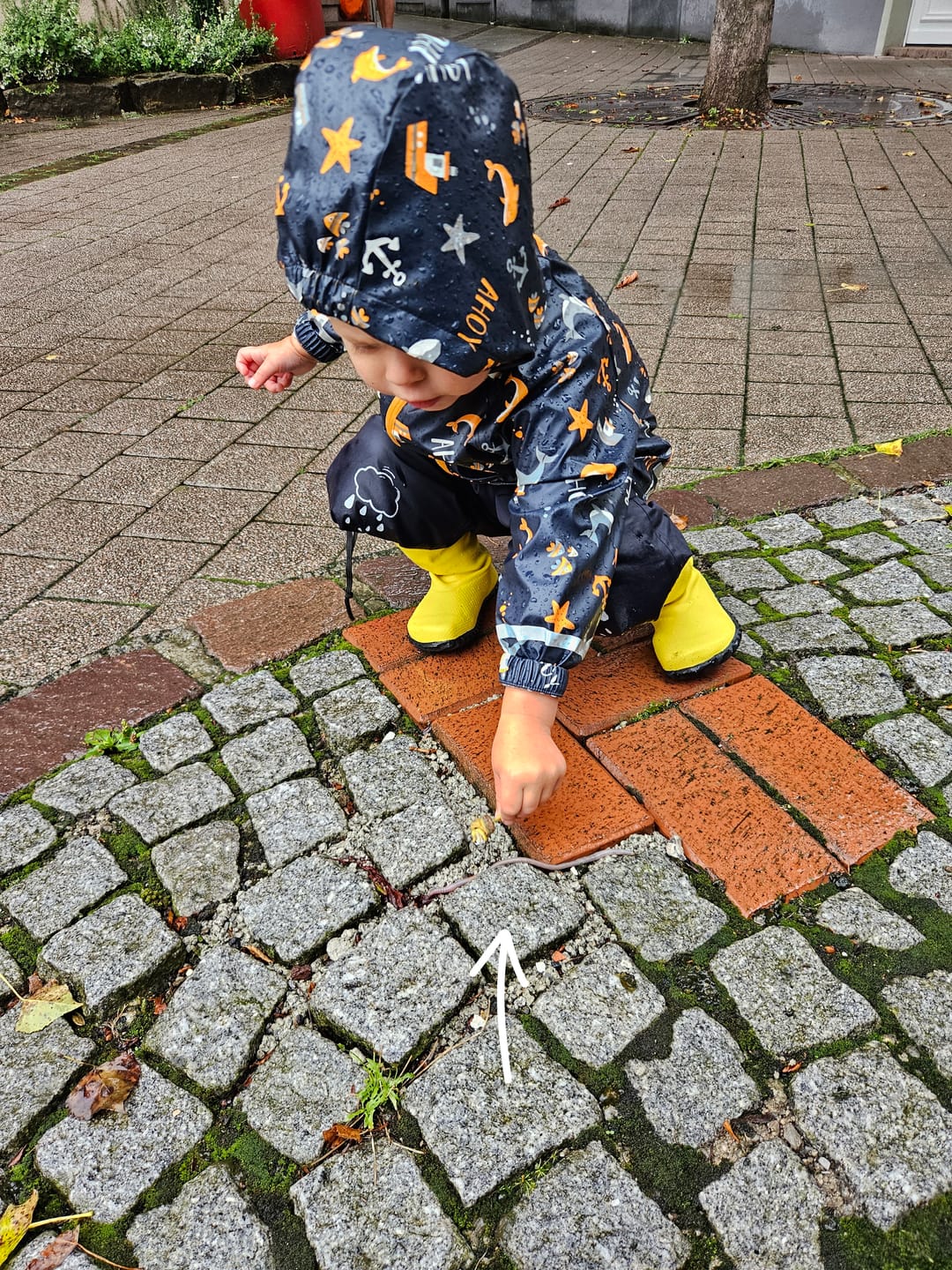 Customer photo review of Kinder Brisk Ⅰ - Barfuß-Gummistiefel