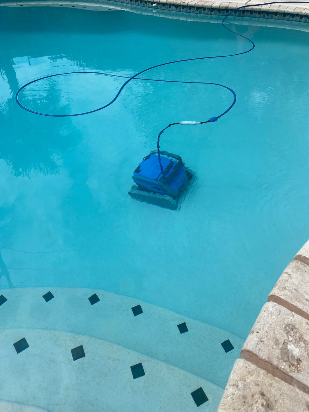 Customer photo review of Ships Next Day New Maytronics Dolphin M600 Robotic Pool Cleaner