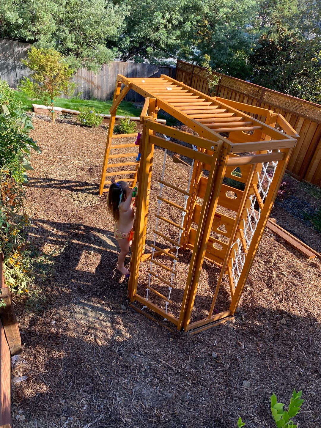 Customer photo review of Hawthorn Outdoor Climber Playset | Monkey Bars, Swing & Octagon Climber for Kids