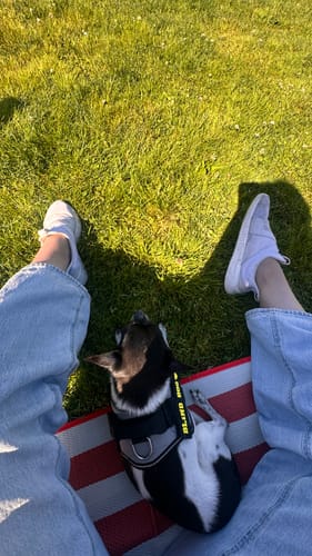 Customer photo review of *PREORDER - SHIPS LATE AUGUST* Chicken Risotto