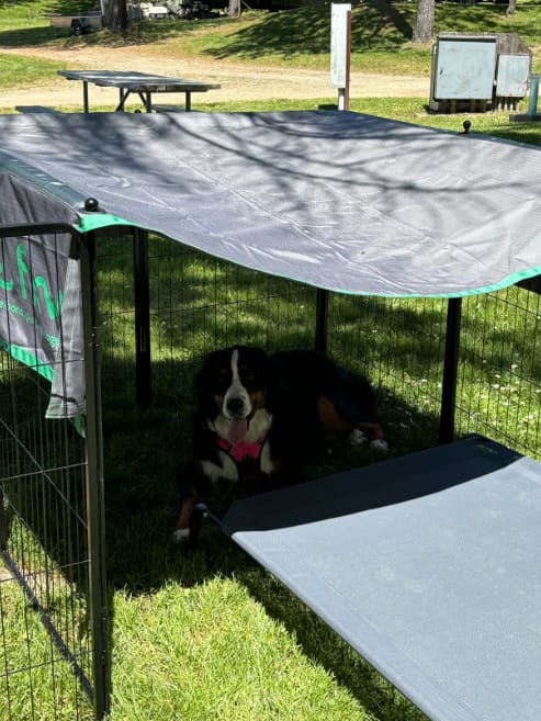 Customer photo review of FXW Sun Shade Specialized for FXW Dog Playpen