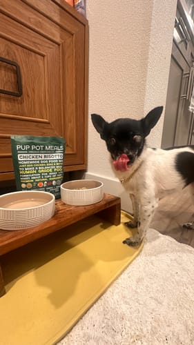 Customer photo review of *PREORDER - SHIPS LATE AUGUST* Chicken Risotto