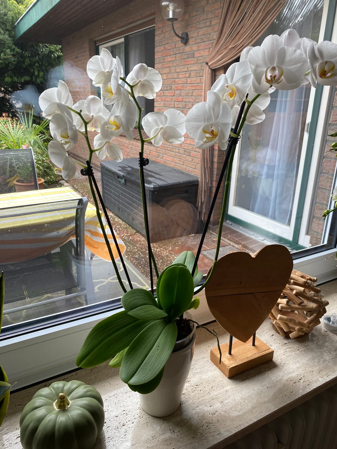 Customer photo review of Große Two of Us mit weißen Blüten und 3 Stielen
