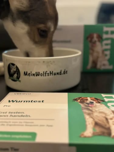 Customer photo review of Wurmtest Pro Hund Jahrespaket