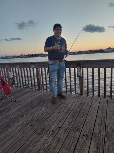 Customer photo review of COGNAC BULL SHOULDER LEATHER BELT