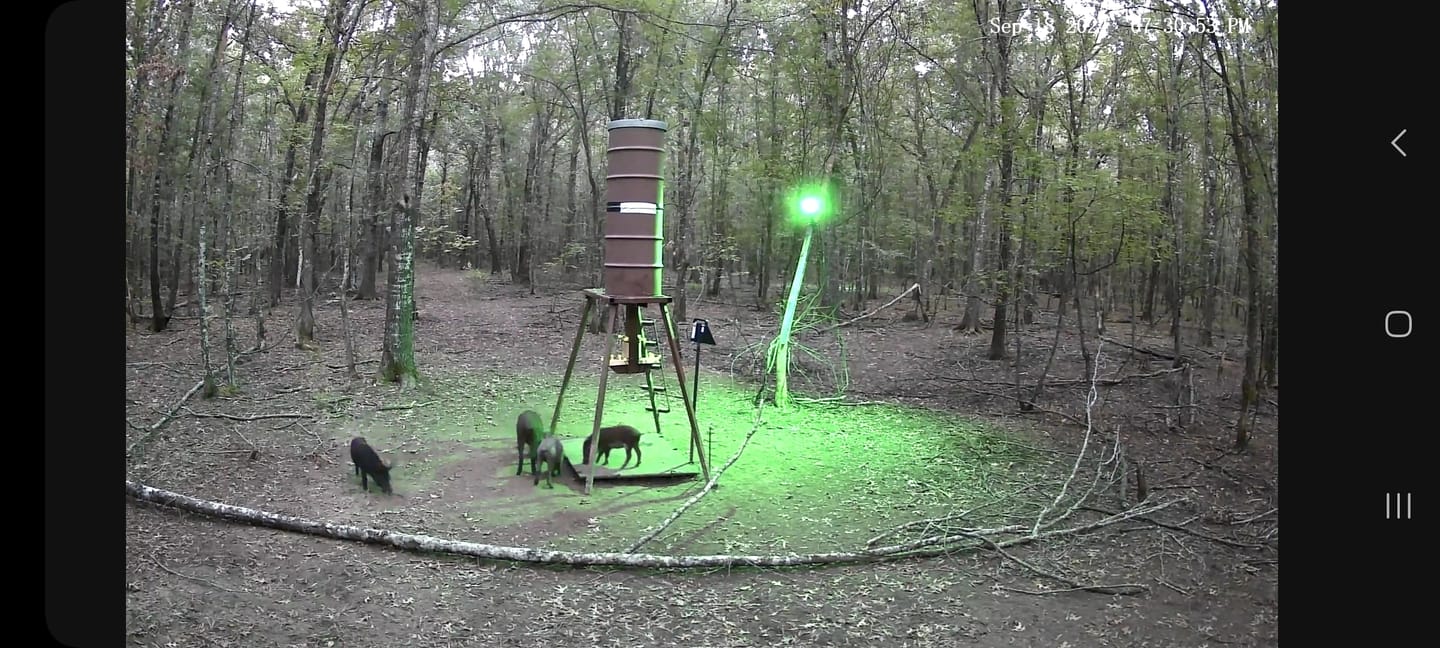Customer photo review of Solar Green Light for Hunting Hogs Deer,Fish light -15,000lumens
