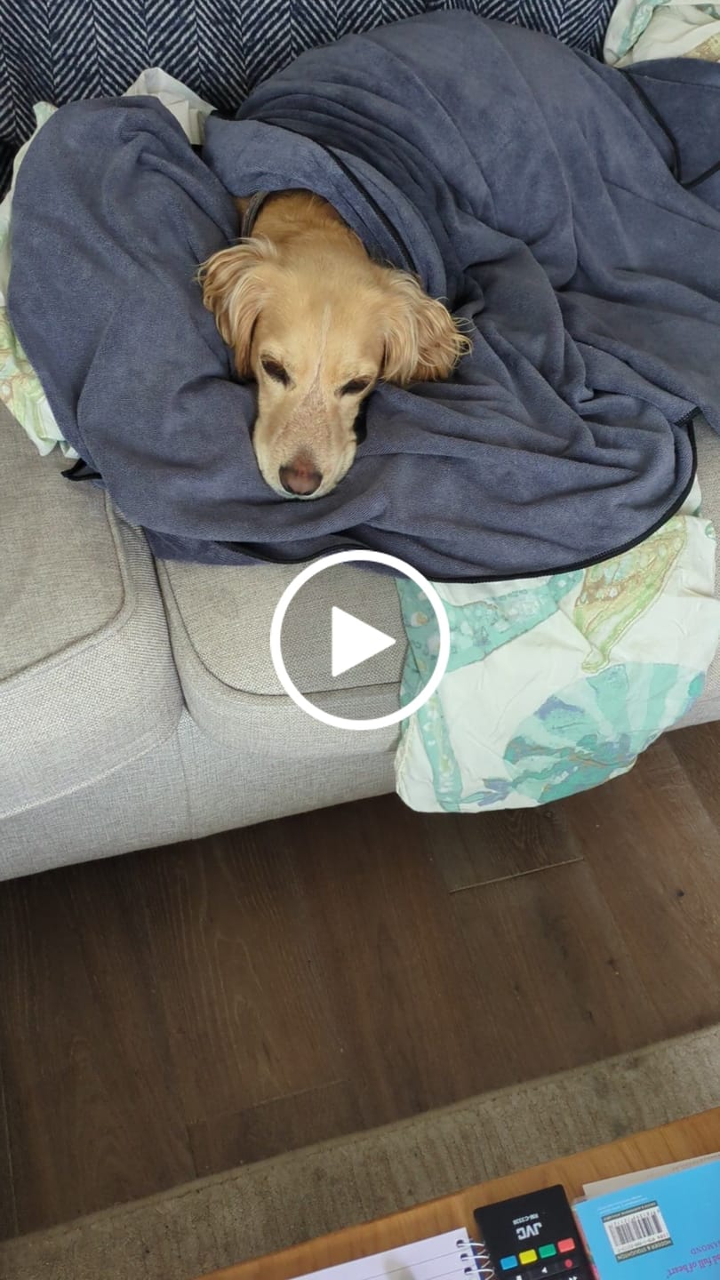 Customer video review of Luxury Dog Towel