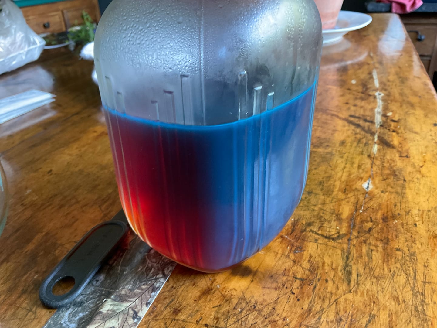 Customer photo review of Palo Azul (Kidney Wood)