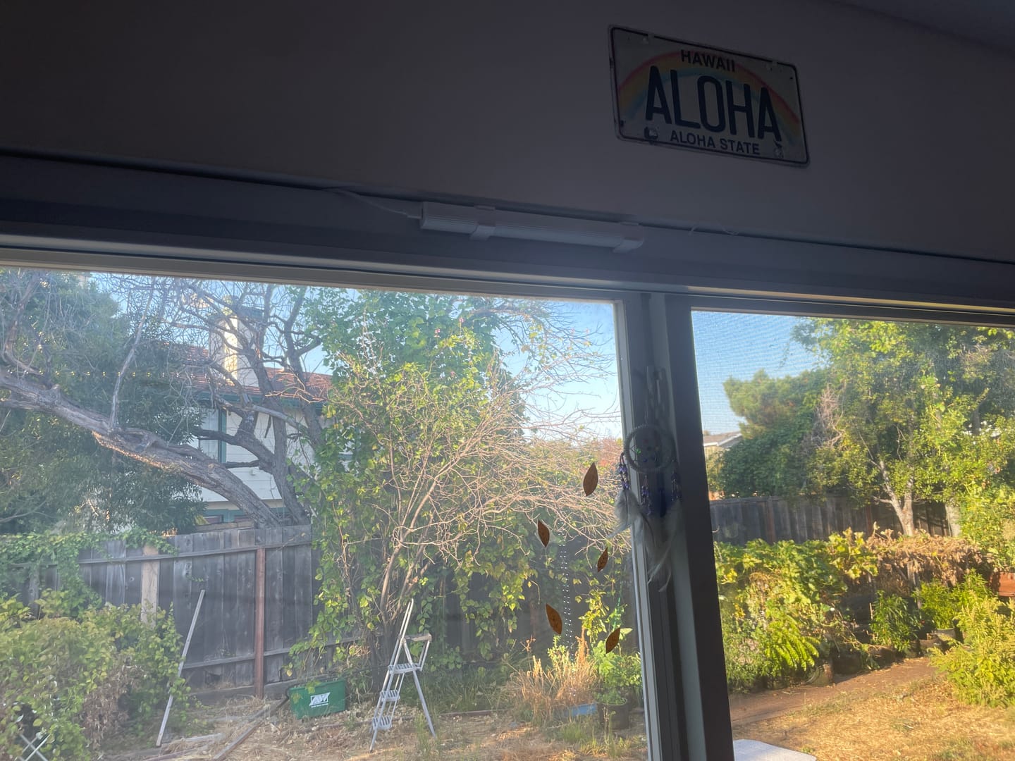Customer photo review of SmartWings Motorized Blackout Cellular Shades Hazel