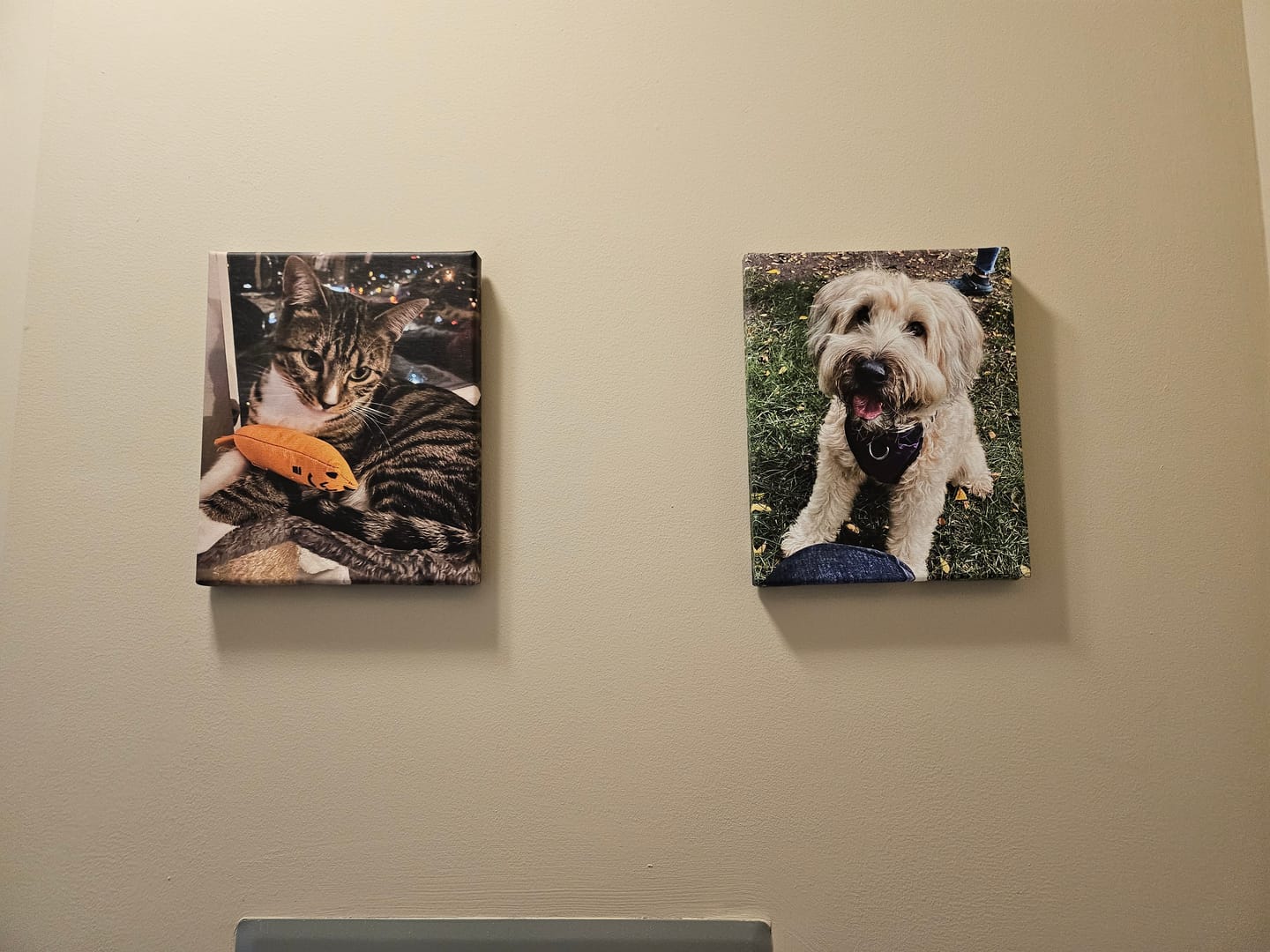 Customer photo review of Custom Canvas