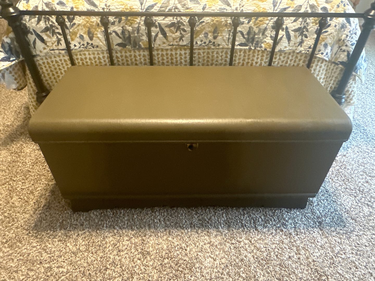 Customer photo review of One Step Paint - Brown Derby