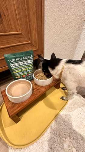 Customer photo review of *PREORDER - SHIPS LATE AUGUST* Chicken Risotto