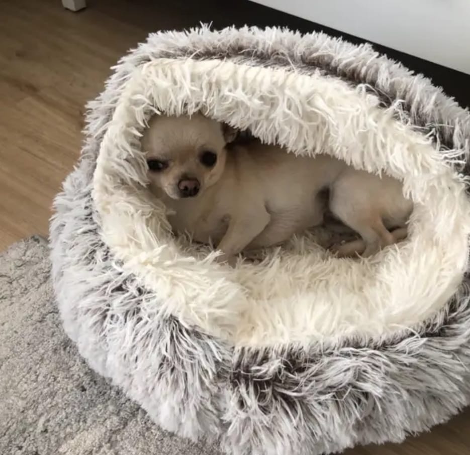 Customer photo review of CozyCave™ Suojaisa peti koirille ja kissoille