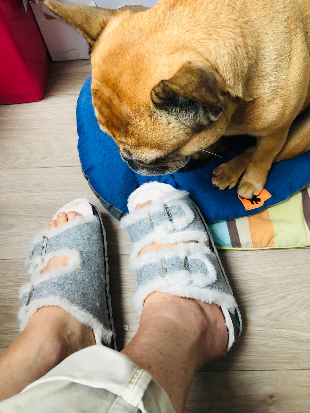 Customer photo review of Nuo Fluff