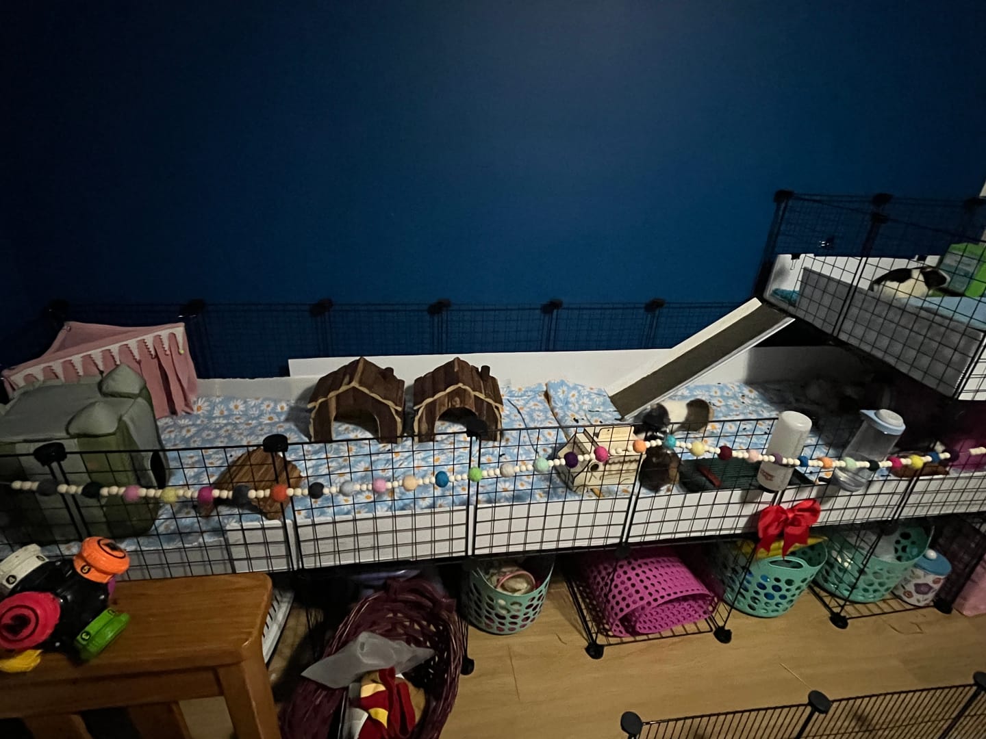 Customer photo review of Set of 2 Fleece Liners | Daisy