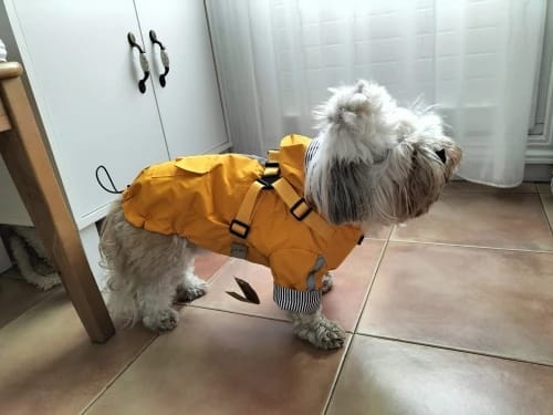 Customer photo review of DoggyKings™ 3 in 1 Rain Coat