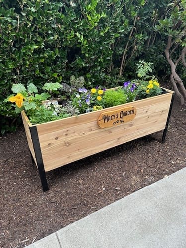 Customer photo review of 18" x 60" Raised Garden Bed