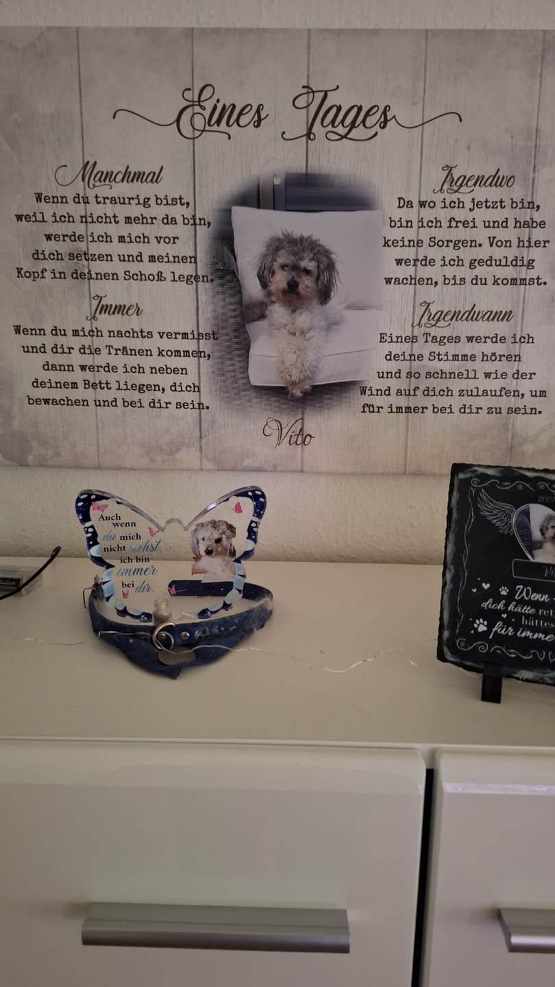 Customer photo review of Eines Tages - Individuelle Leinwand