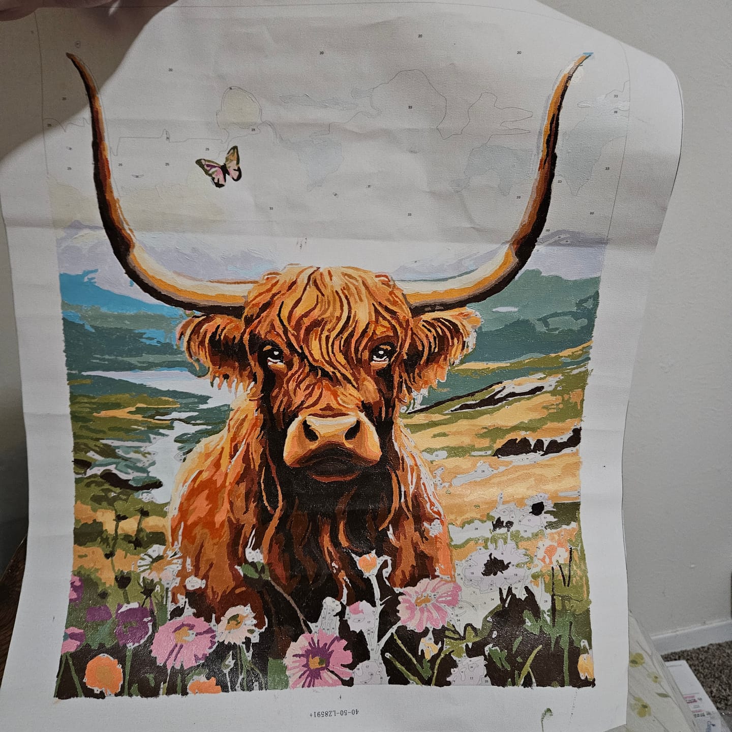 Customer photo review of Highlands Cow