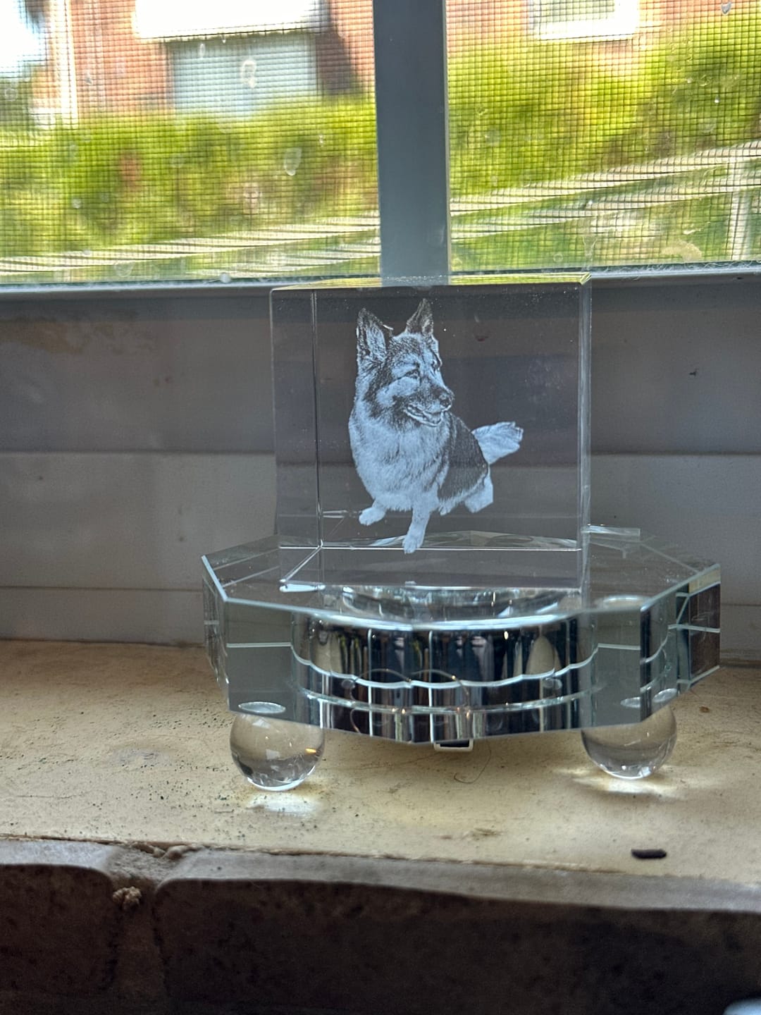Customer photo review of Custom Pet 3d Laser Crystal Photo Cube with Dog Portraits Memorial Gift