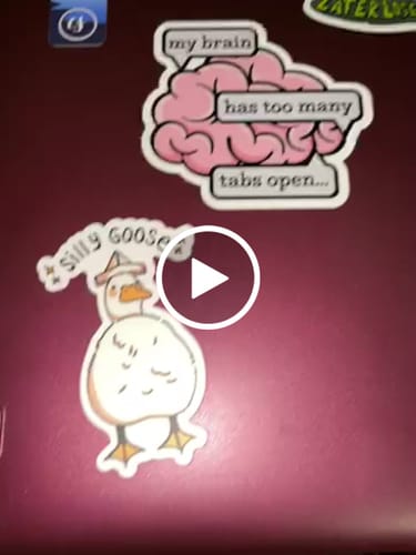 Customer video review of Silly goose animal pun sticker with hat