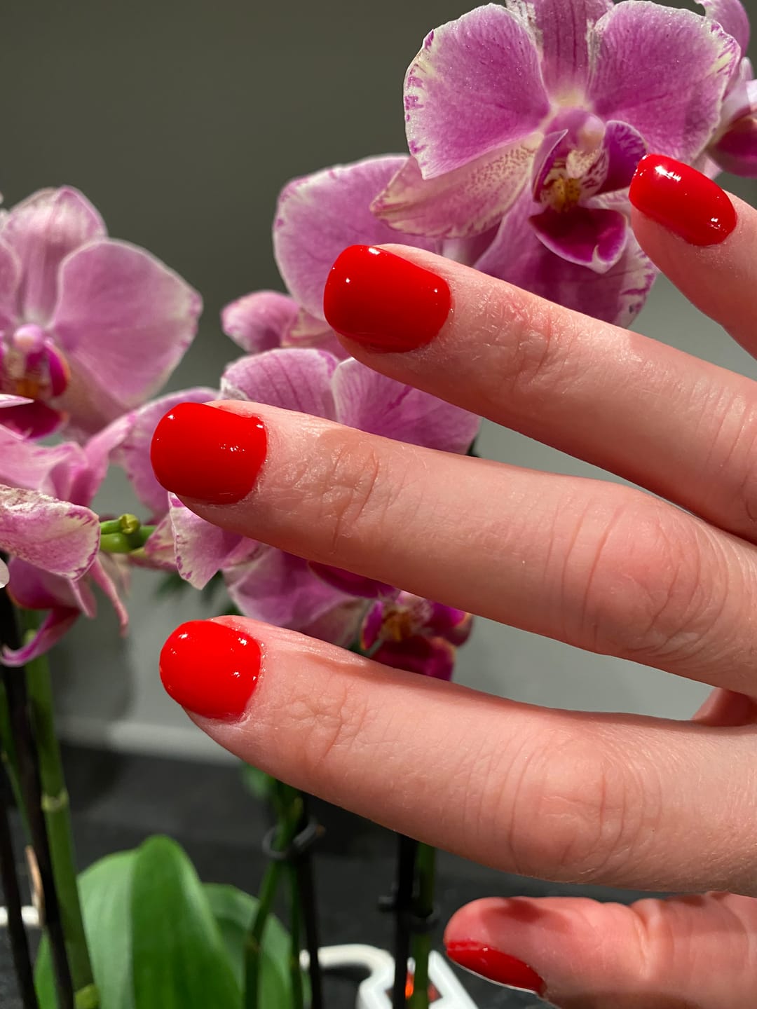 Customer photo review of Rose Red Dipping Powder