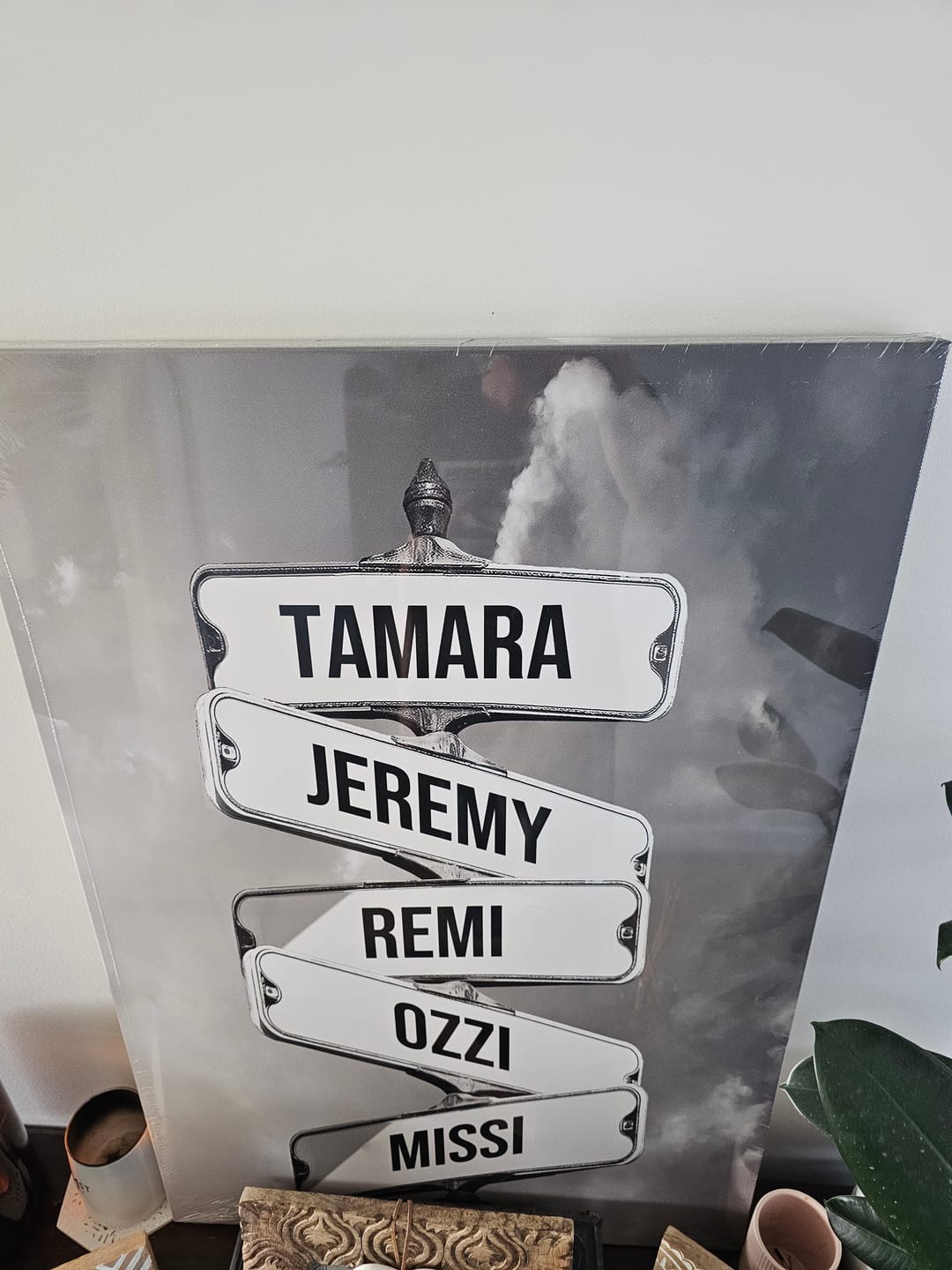 Customer photo review of NAMES ONLY STREET SIGN by Cstm Canvas