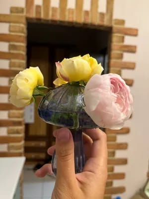 Customer photo review of MYCÉLIUM®