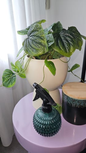 Customer photo review of Piper Kunst Hangplant 65cm