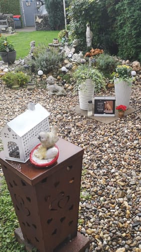 Customer photo review of Hunde Gedenktafel mit Foto & Spruch (UV- & Wetterfest)