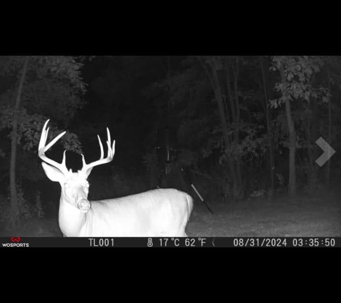 Customer photo review of G600 Trail Camera