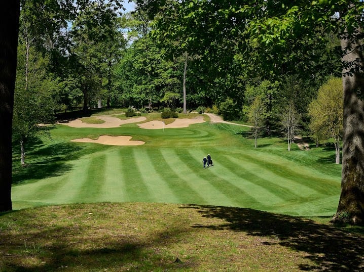 Customer photo review of Titleist - Mix