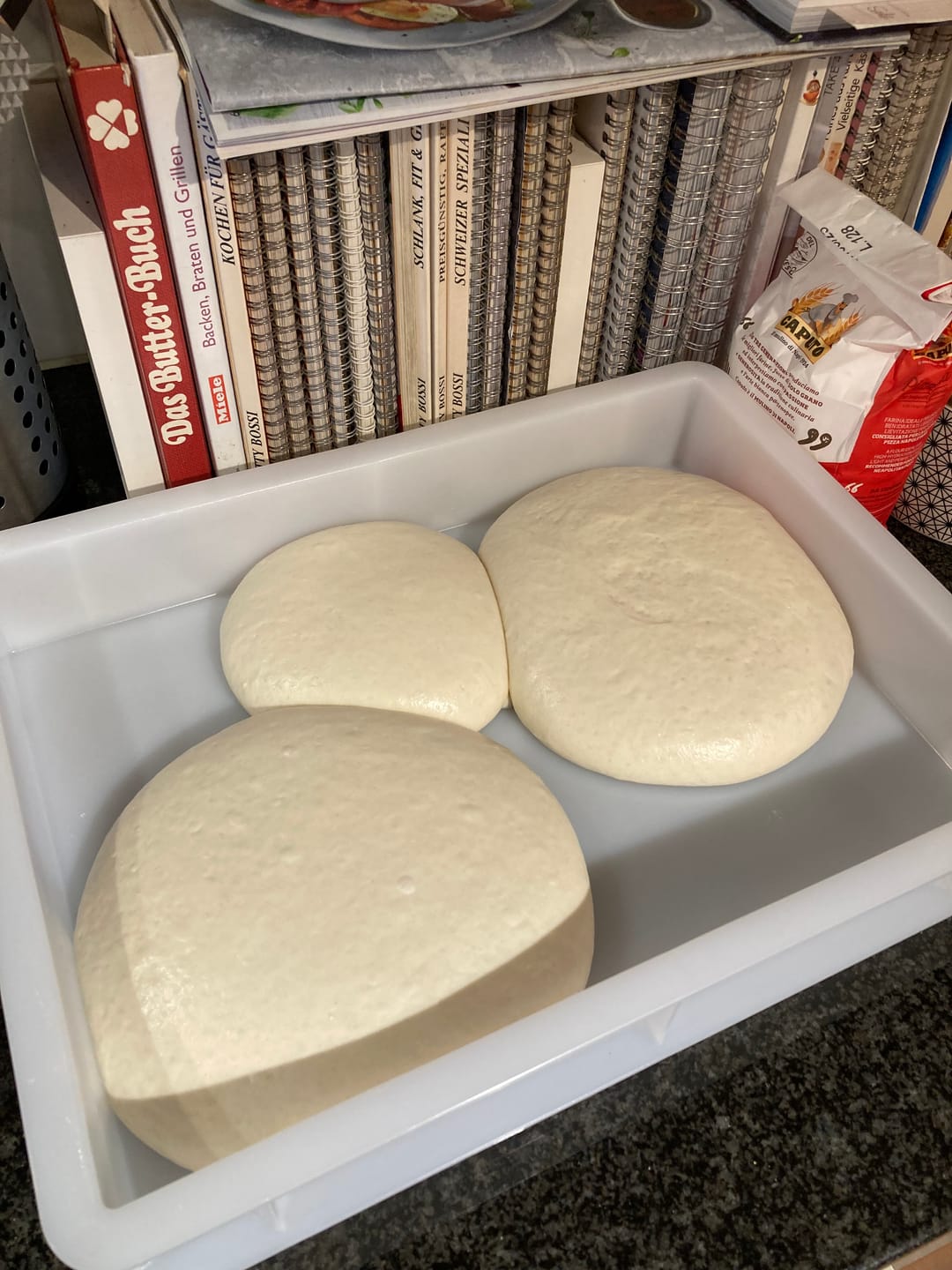 Customer photo review of Caputo Pizzeria  Mehl